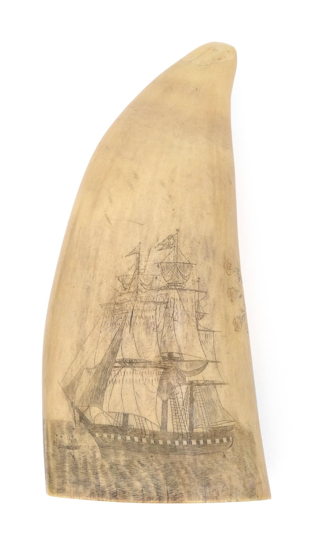 POLYCHROME SCRIMSHAW WHALE'S TOOTH