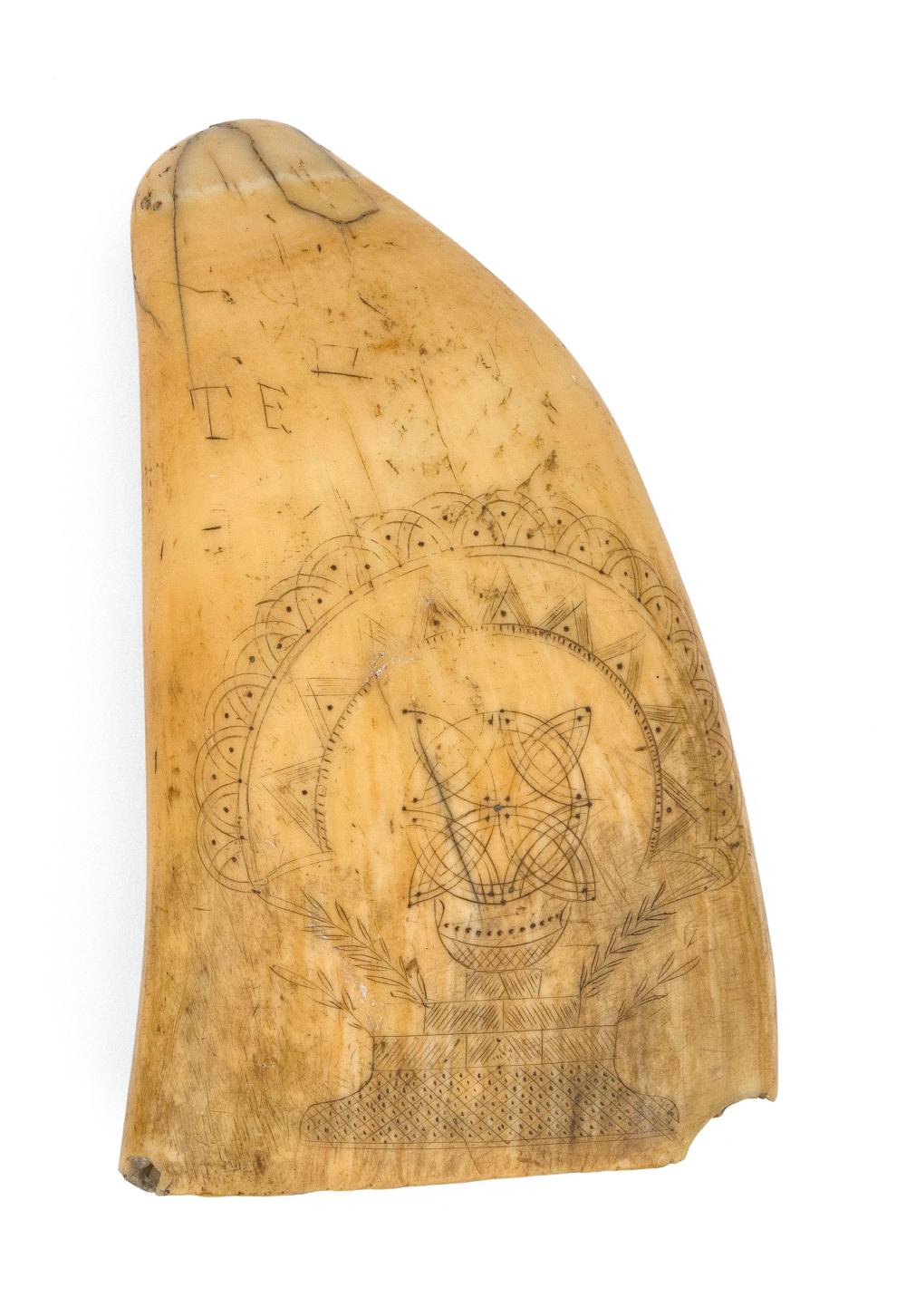 SCRIMSHAW WHALE'S TOOTH MID-19TH