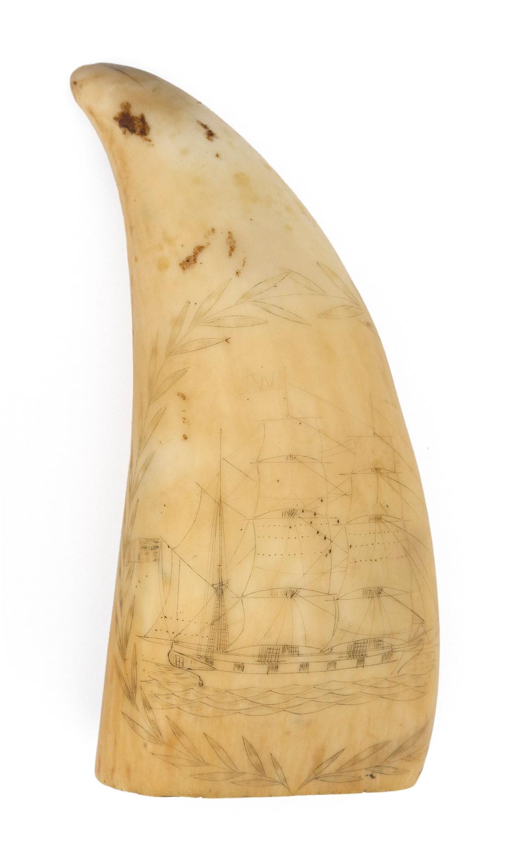 SCRIMSHAW WHALE S TOOTH WITH PORTRAIT 34c65a
