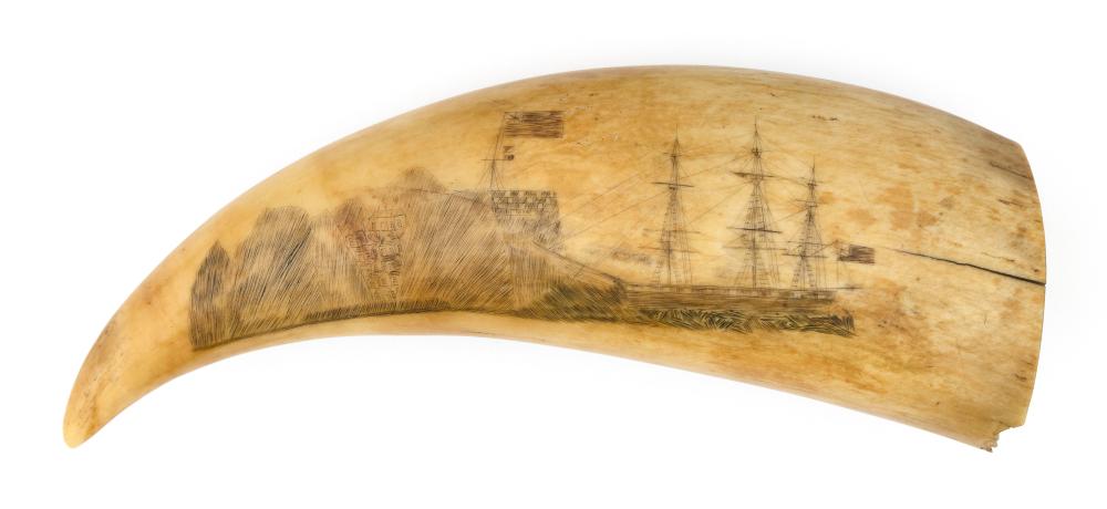 POLYCHROME SCRIMSHAW WHALE S TOOTH 34c672