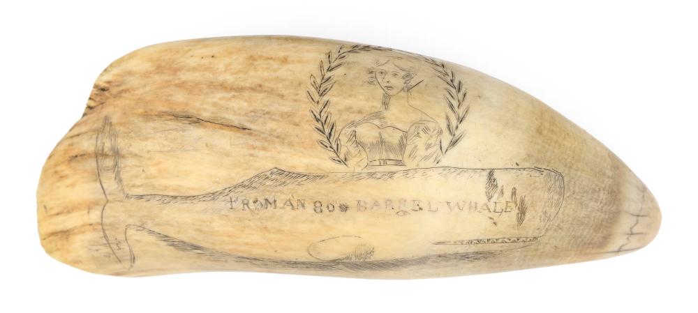  LARGE ENGRAVED WHALE S TOOTH 34c670