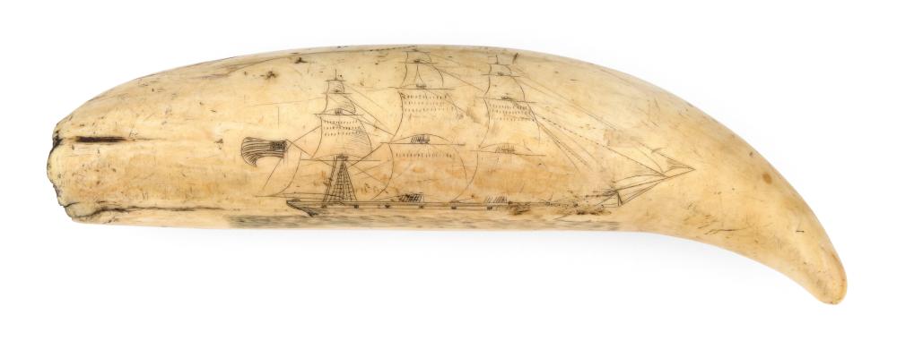 SCRIMSHAW WHALE'S TOOTH ATTRIBUTED