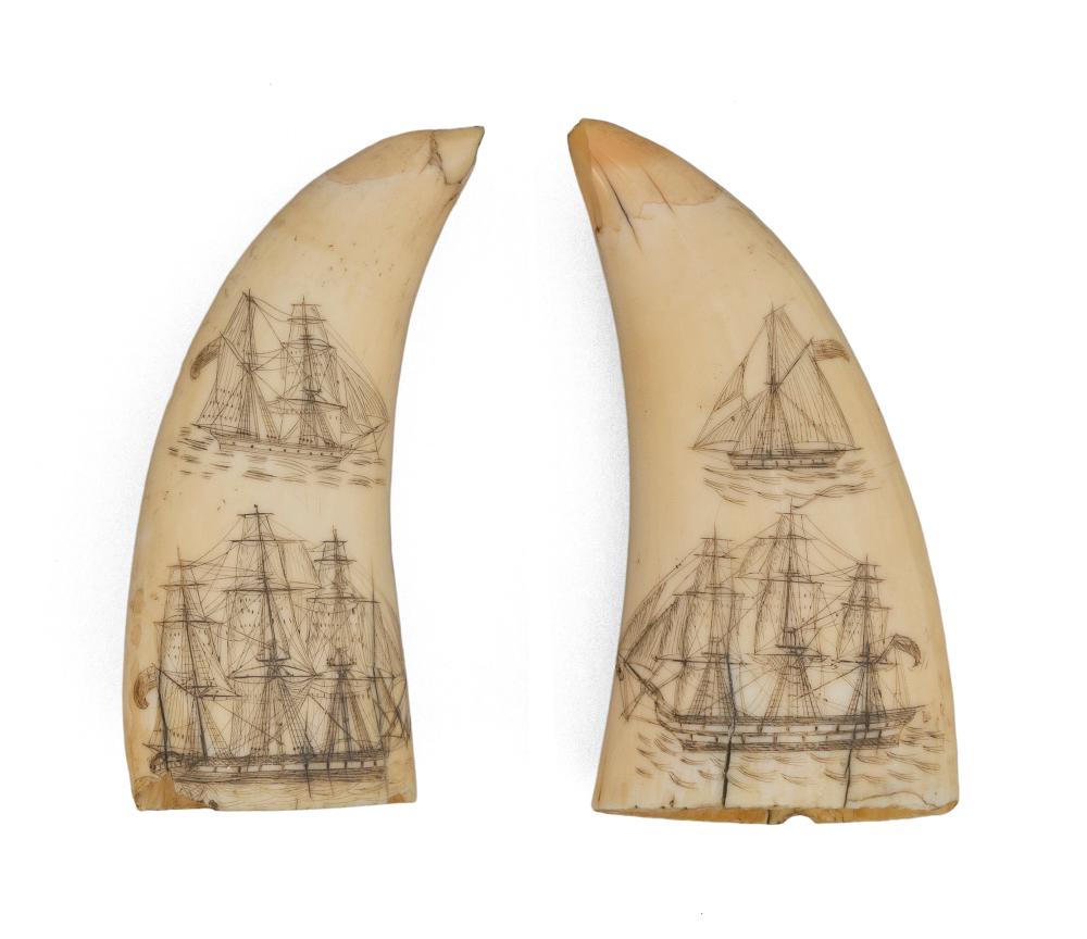 PAIR OF SCRIMSHAW WHALE S TEETH 34c67a