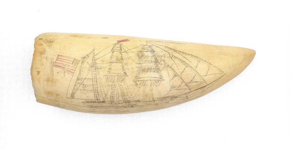 POLYCHROME SCRIMSHAW WHALE S TOOTH 34c6bd