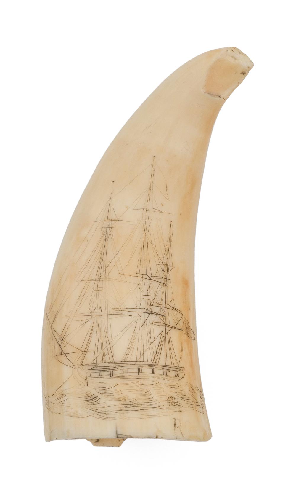 SCRIMSHAW WHALE S TOOTH DEPICTING 34c6c3