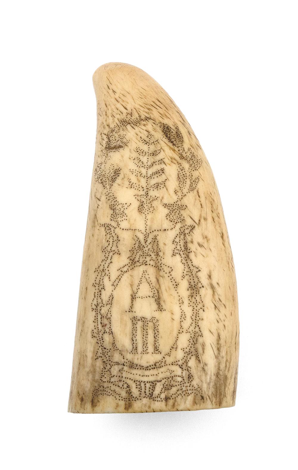 SCRIMSHAW WHALE S TOOTH INITIALED 34c6c5