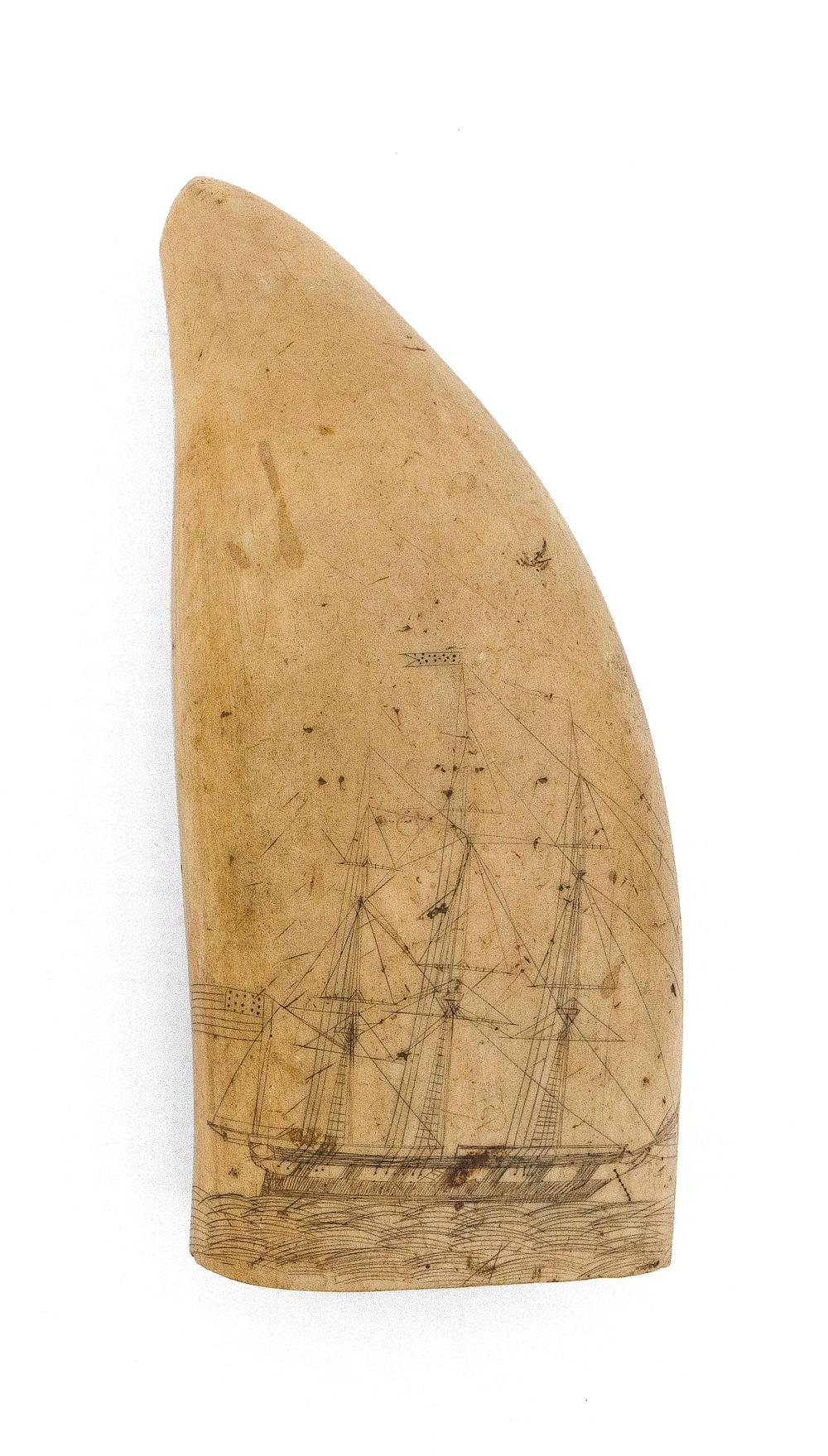 SCRIMSHAW WHALE S TOOTH WITH SHIP 34c6be