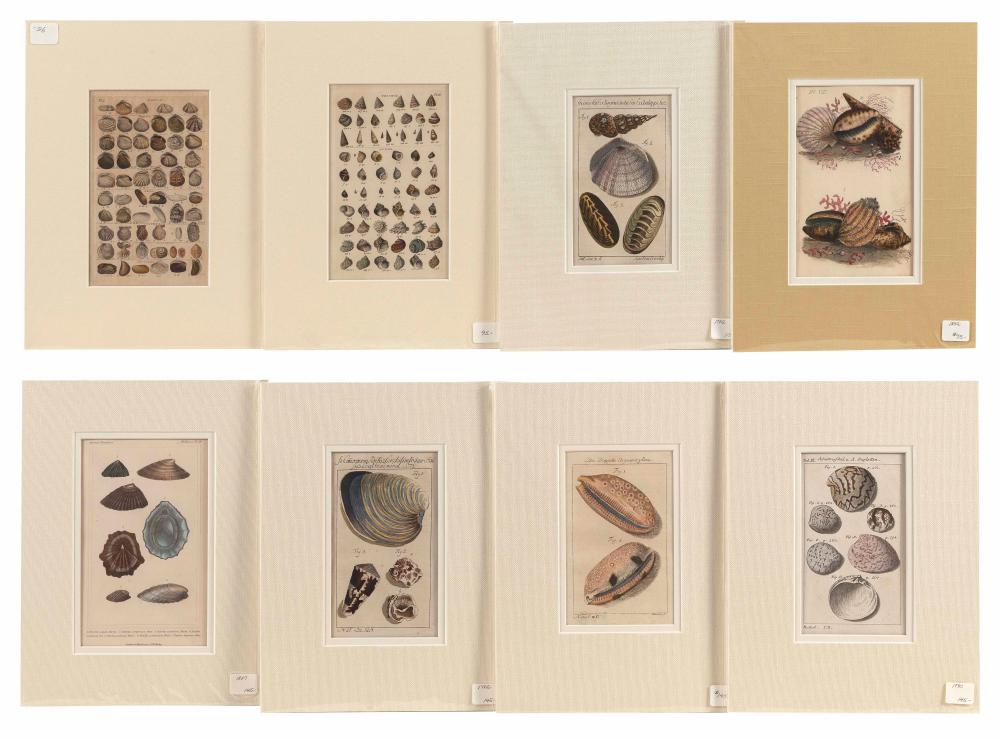 EIGHT SEASHELL BOOKPLATES 19TH 34c9ca