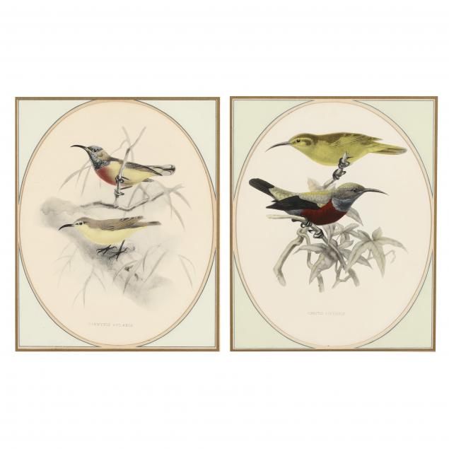 PAIR OF FRAMED BIRD PRINTS Hand-colored