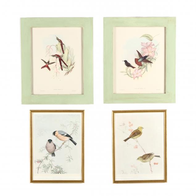 TWO FRAMED PAIRS OF ORNITHOLOGICAL 34a7ec