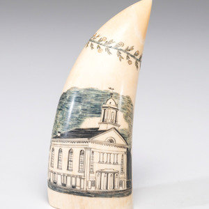 A Scrimshaw Sperm Whale's Tooth
19th