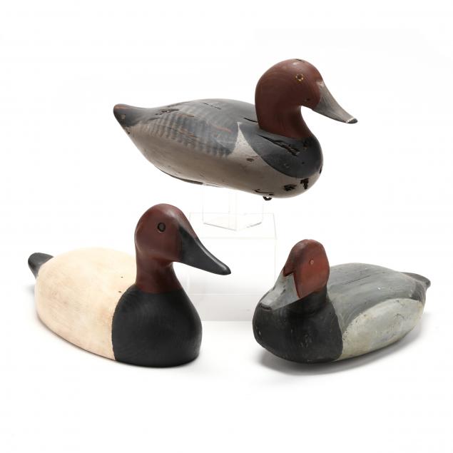 TWO RED HEAD AND ONE CANVASBACK 34ab48