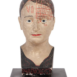 A Chalkware Phrenology Head American  34abe6