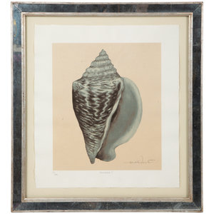 A Set of Four Decorative Nautilus Prints