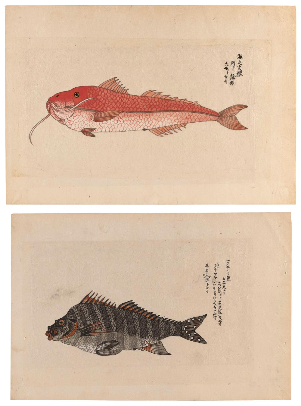 TWO JAPANESE PAINTINGS OF FISH