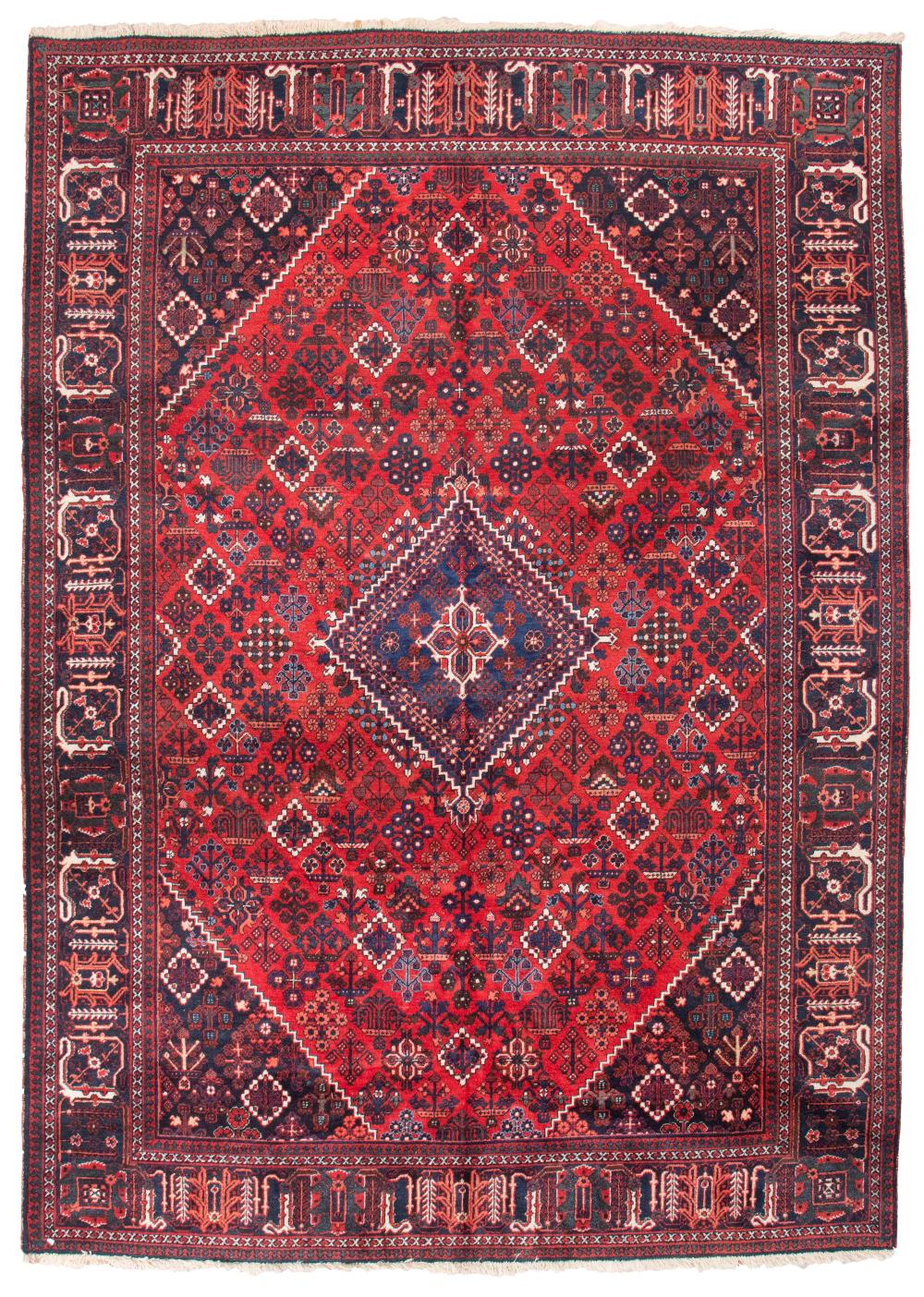 JOSHEGHAN RUG: 8'10" X 12'6" LATE