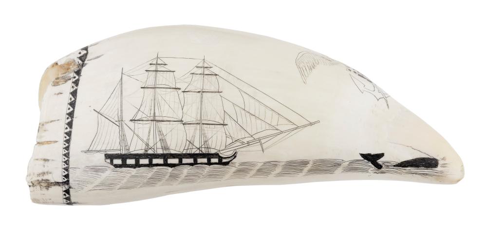  LARGE POLYCHROME ENGRAVED WHALE S 34e460
