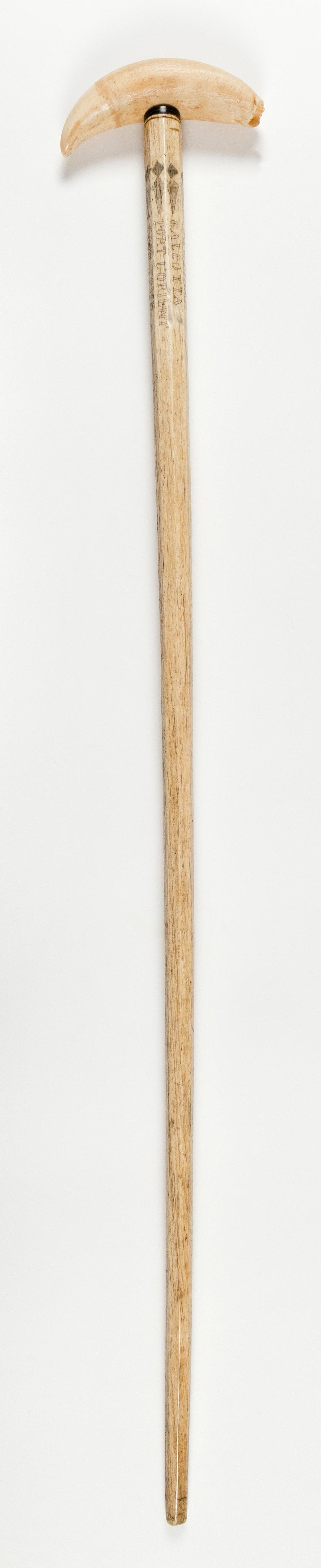  WHALEBONE CANE WITH WHALE S TOOTH 34e46d