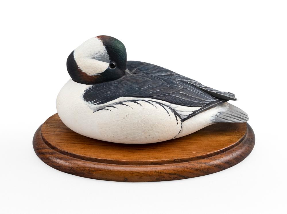 RAND GLEASON BUFFLEHEAD DRAKE MASSACHUSETTS  34e815