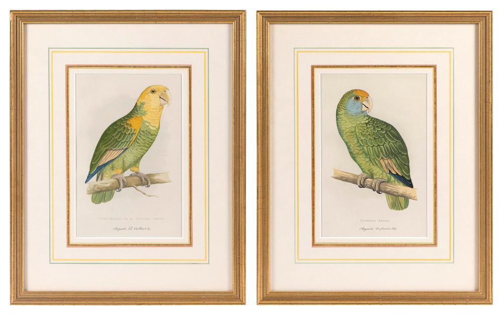 PAIR OF PRINTS DEPICTING PARROTS