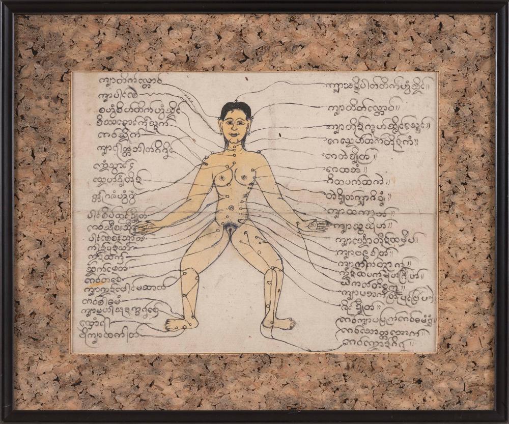 ASIAN HAND COLORED MEDICAL DRAWING 34ef94