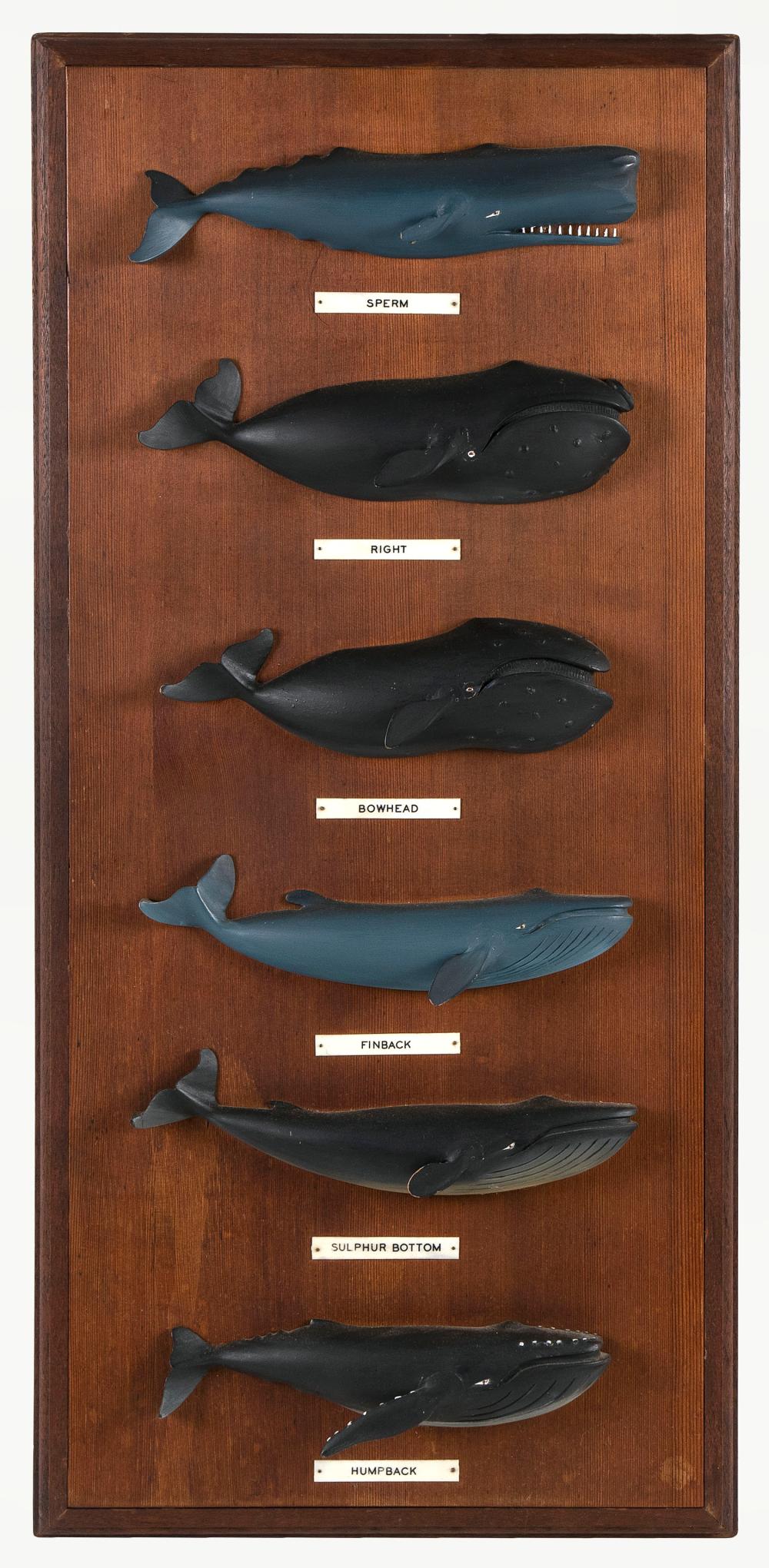 RICHARD ORR WHALE PLAQUE 20TH CENTURY