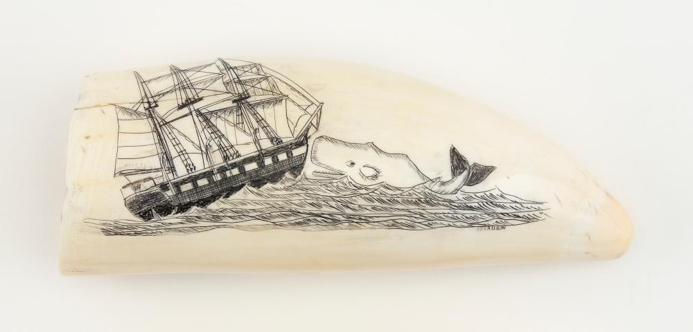 * ENGRAVED WHALE'S TOOTH BY J.R.