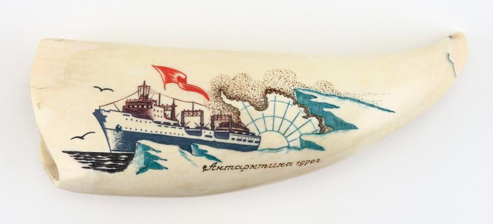  POLYCHROME ENGRAVED WHALE S 34cc25