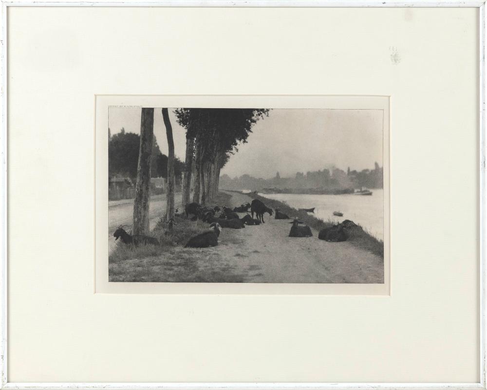 ALFRED STIEGLITZ NEW YORK NEW 34d07c