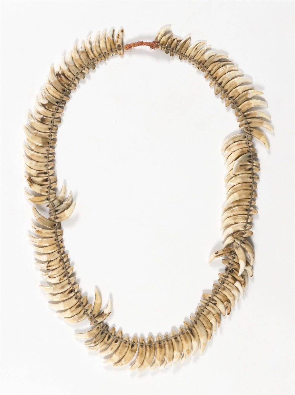 CEREMONIAL OR TROPHY TOOTH NECKLACE