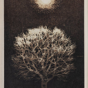 Joichi Hoshi
(Japanese, 1913-1979)
Tree