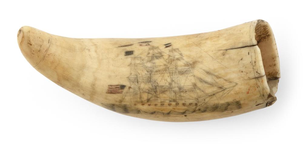 POLYCHROME SCRIMSHAW WHALES TOOTH MID-19TH