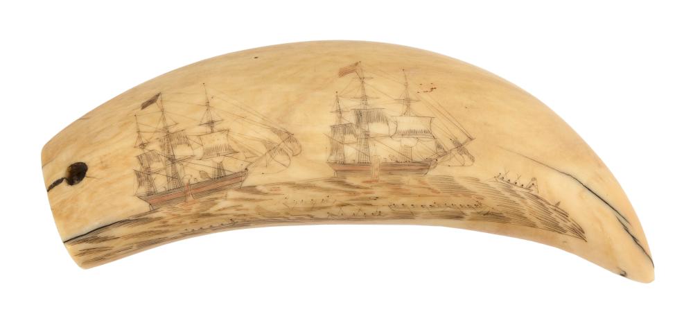 POLYCHROME SCRIMSHAW WHALE'S TOOTH