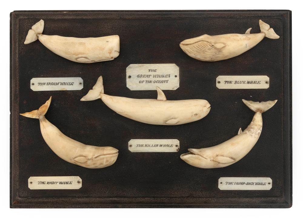 DISPLAY BOARD OF FIVE CARVED IVORY