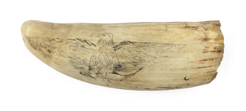 SCRIMSHAW WHALE'S TOOTH DEPICTING