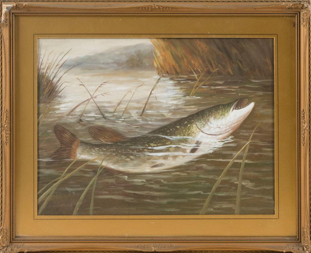 MIXED MEDIA STUDY OF A TROUT ON 34db00