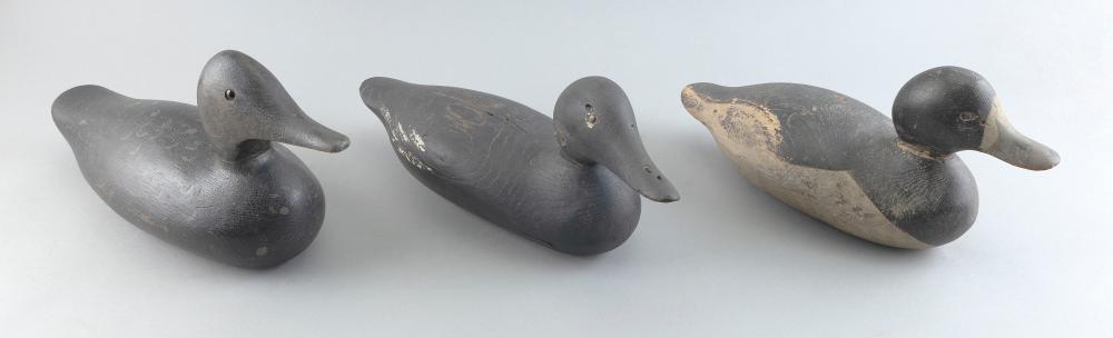 TWO MASON DECOYS AND A BLACK DUCK 3503ea