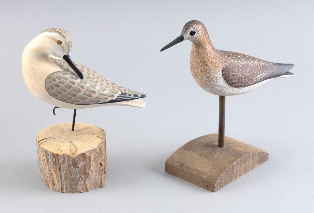 TWO CONTEMPORARY SHOREBIRDS HEIGHTS