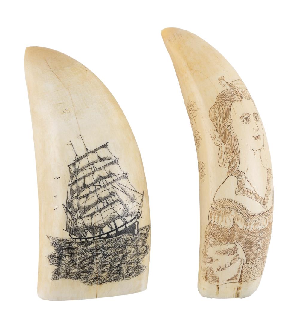  TWO ENGRAVED WHALE S TEETH 20TH 350581