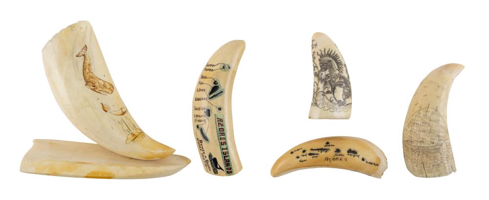  FIVE ENGRAVED AND PAINTED WHALE S 350585