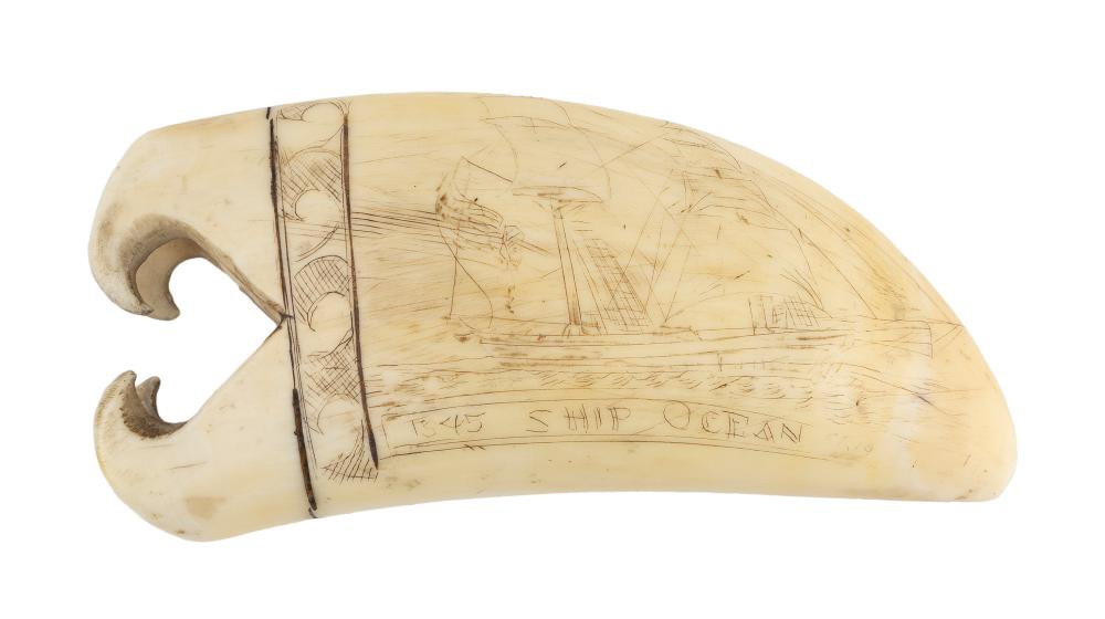 * CARVED AND ENGRAVED WHALE'S TOOTH
