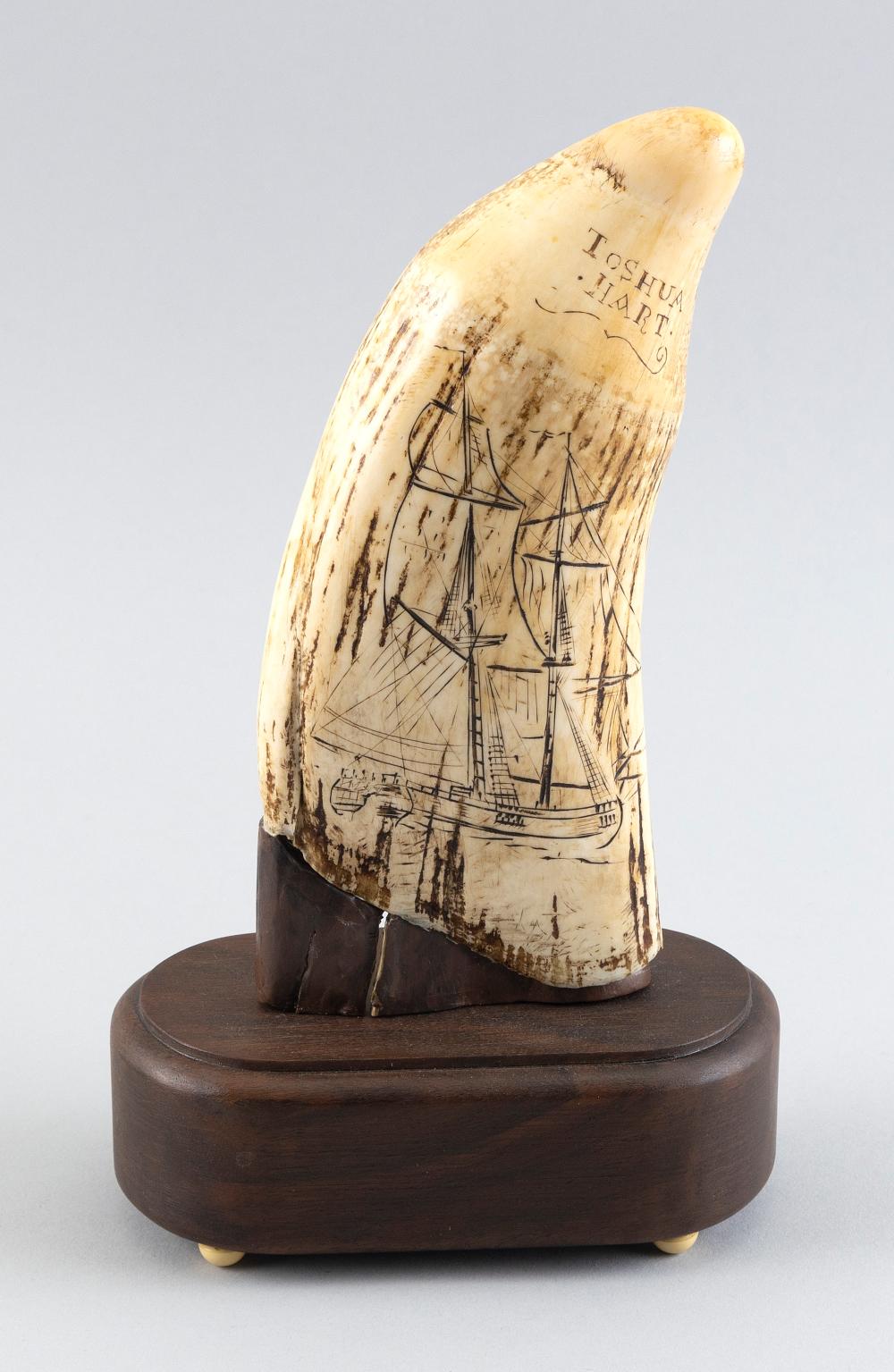  ENGRAVED WHALE S TOOTH TOSHUA 3505a3
