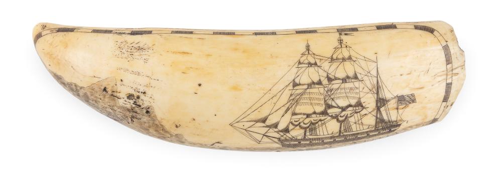  ENGRAVED WHALE S TOOTH WITH 3505ba