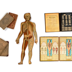 A Group of Medical and Anatomical