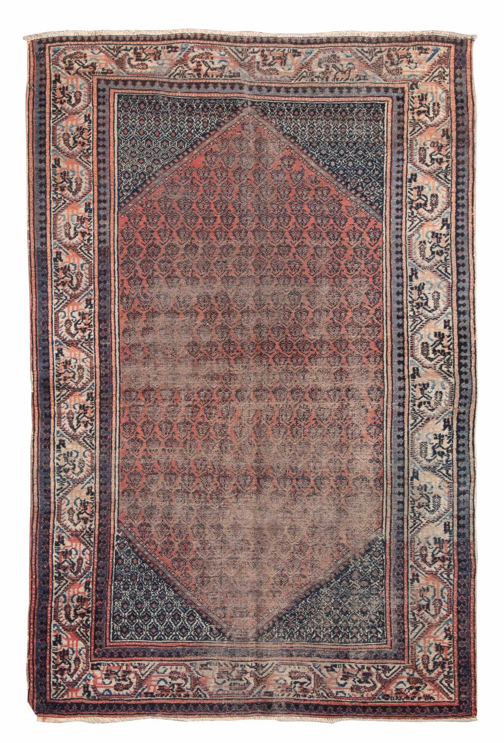 SERABEND RUG 4 1 X 6 4  350f24