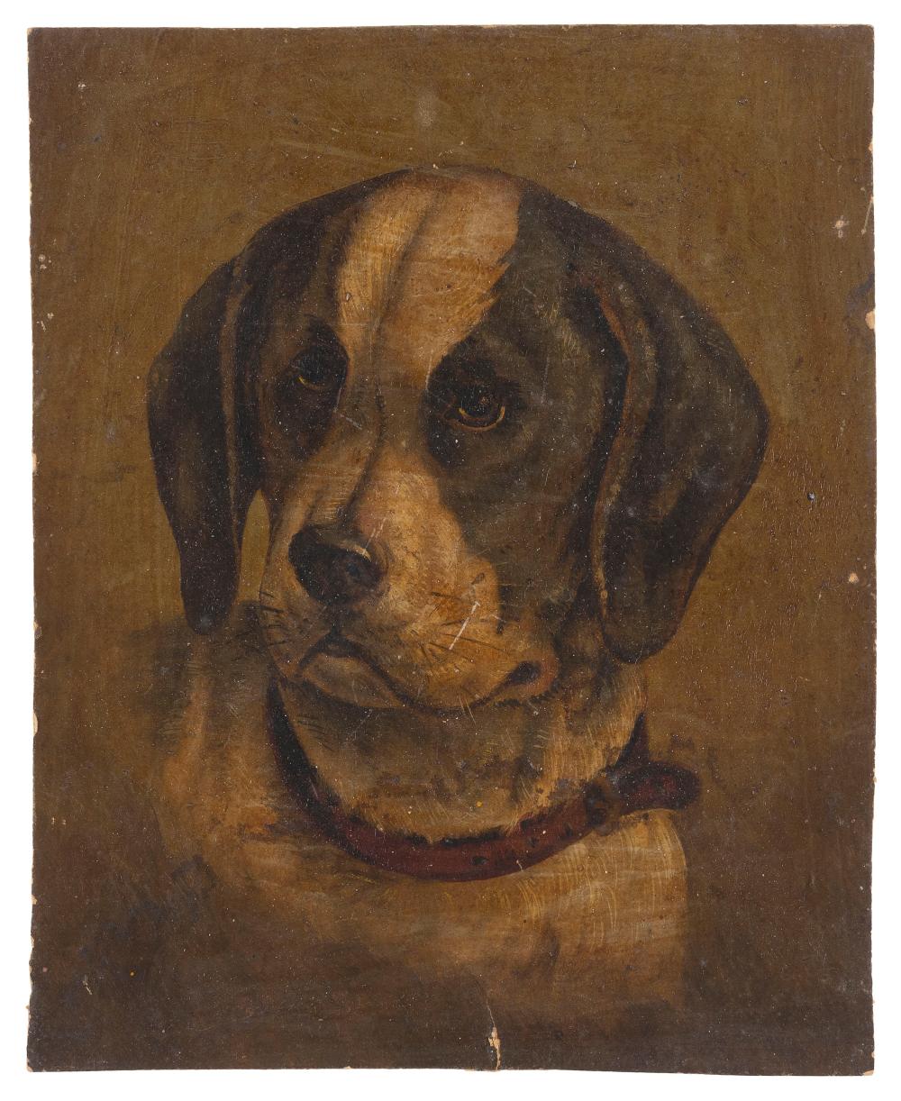 PORTRAIT OF A DOG 19TH CENTURY