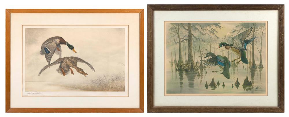 TWO PRINTS OF DUCKS 20TH CENTURYTWO