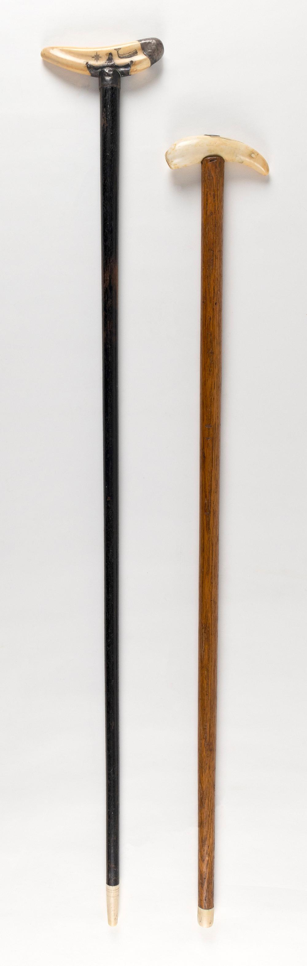  TWO CANES 20TH CENTURY LENGTHS 34f9b9
