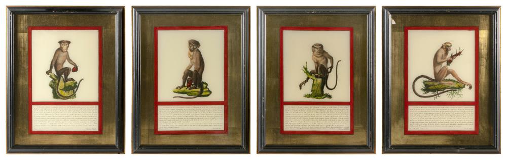 SET OF FOUR "JACOB'S MONKEYS" 20TH