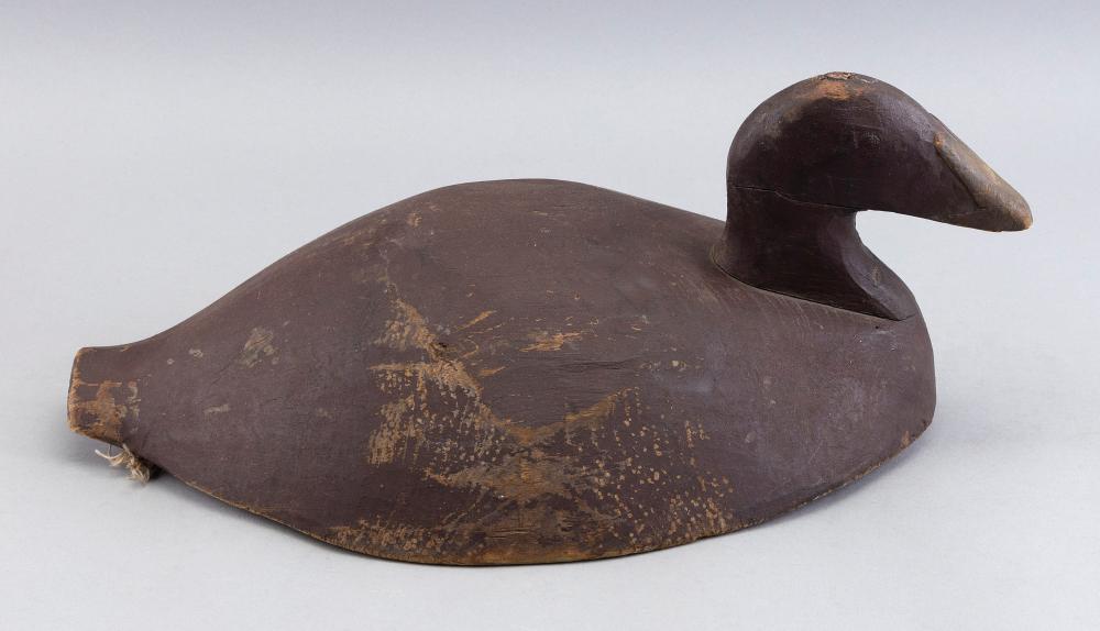 PRINCE EDWARD ISLAND EIDER HEN 34fe07